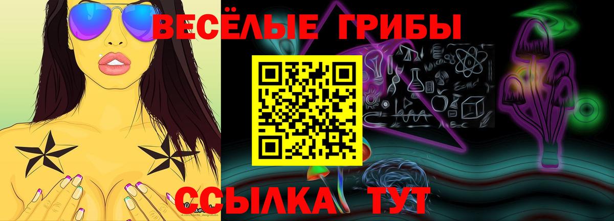 Псилоцибиновые грибы Psilocybine cubensis  Вход с VPN  Мирный 